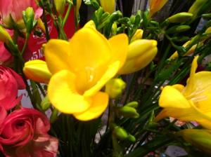 春！｜「フローラルはなじん」　（愛知県名古屋市中村区の花キューピット加盟店 花屋）のブログ