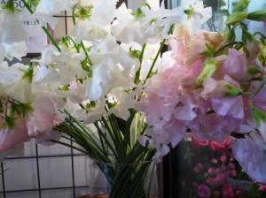 春らしいお花｜「フローラルはなじん」　（愛知県名古屋市中村区の花キューピット加盟店 花屋）のブログ