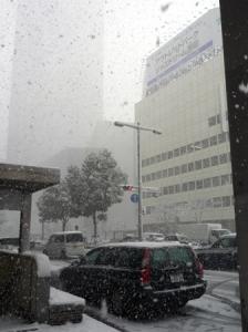 雪！　雪！！　雪！！！｜「フローラルはなじん」　（愛知県名古屋市中村区の花キューピット加盟店 花屋）のブログ