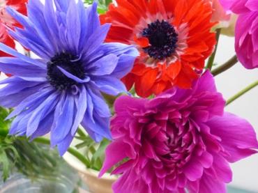 かわいいお花が入荷されていました！｜「フローラルはなじん」　（愛知県名古屋市中村区の花キューピット加盟店 花屋）のブログ