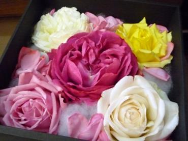 『　食べられるバラ　－再び－　』｜「フローラルはなじん」　（愛知県名古屋市中村区の花キューピット加盟店 花屋）のブログ