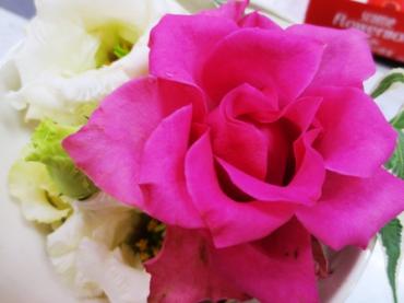 心がおれちゃいます。。。｜「フローラルはなじん」　（愛知県名古屋市中村区の花キューピット加盟店 花屋）のブログ