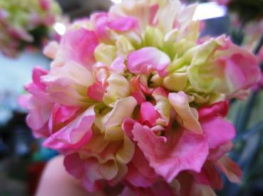 ローズクラウン　　(お花好きな方には一見の価値があるかと！！！)｜「フローラルはなじん」　（愛知県名古屋市中村区の花キューピット加盟店 花屋）のブログ