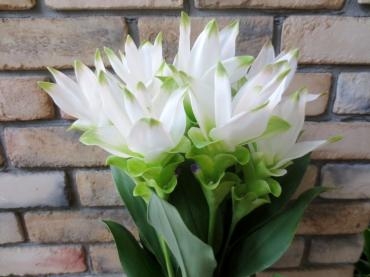 お花はこちら！✿ クルクマ ✿｜「フローラルはなじん」　（愛知県名古屋市中村区の花キューピット加盟店 花屋）のブログ