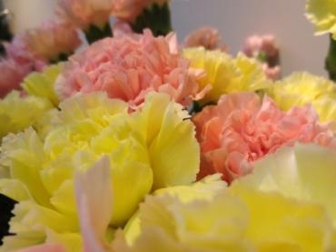 可愛いカーネーション入荷されています♪　✿　あっという間に師走　✿｜「フローラルはなじん」　（愛知県名古屋市中村区の花キューピット加盟店 花屋）のブログ