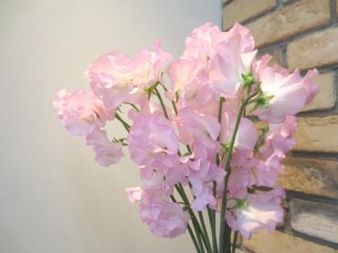チューリップだけではない！　✿ Spring Flower ✿｜「フローラルはなじん」　（愛知県名古屋市中村区の花キューピット加盟店 花屋）のブログ