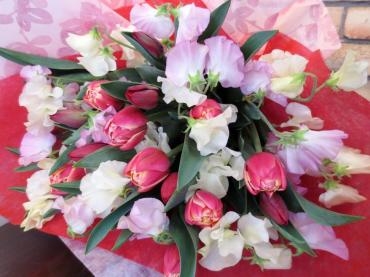 １月も終わり、お花は春まっ盛り♪｜「フローラルはなじん」　（愛知県名古屋市中村区の花キューピット加盟店 花屋）のブログ