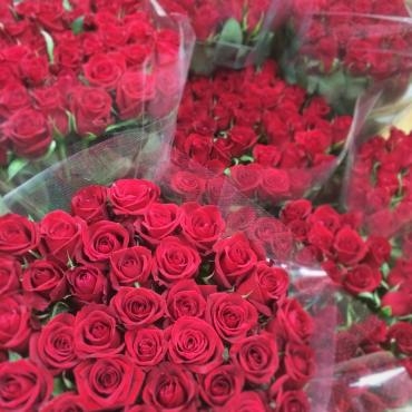 赤薔薇１０００本♪｜「フローラルはなじん」　（愛知県名古屋市中村区の花キューピット加盟店 花屋）のブログ