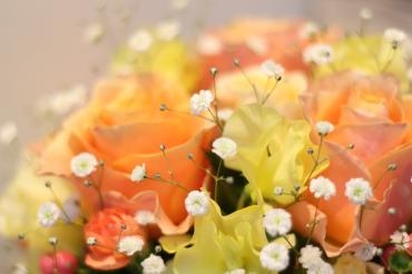 春のお花入荷されています♪｜「フローラルはなじん」　（愛知県名古屋市中村区の花キューピット加盟店 花屋）のブログ